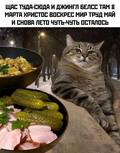 Alex_Surkov