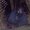 Maksim_Smirnov