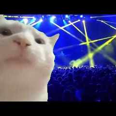 Джонни.сильверхэнд