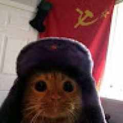 удалено419026