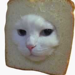 Илья_Гастелло