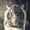 Max_Kentuchy