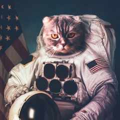 Саша_Зверев