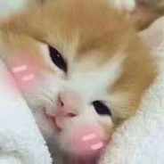 Perish