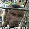 Джони_ДжониTKt