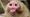 ChinaBot