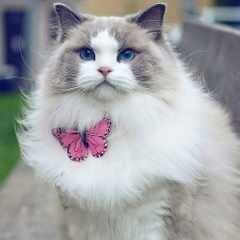 Marianne