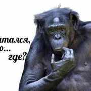 Солдатов_Никита