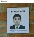 Краснодарский