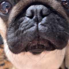 Константин96rus