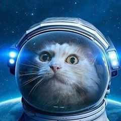 alexander.lukin