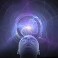 HypnoticZ
