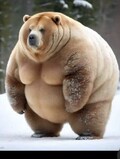 dammm