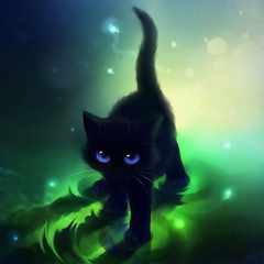 Gray.Cat