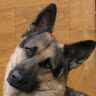 El_Rudo