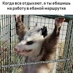 genrin