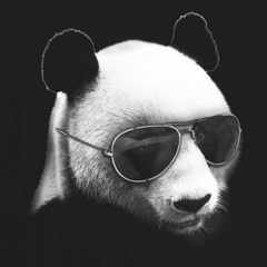 Badrey