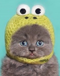 Дашания