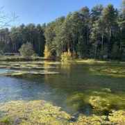 Amina_Malvina