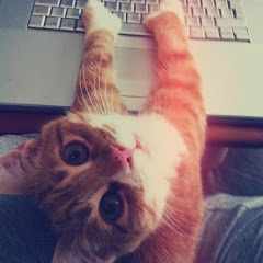 Видосы_ОтМакса