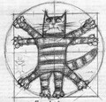 matroskin78