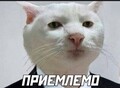 Трекс_Трекс