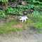 user_photo