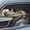 dlis747