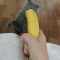 user_photo