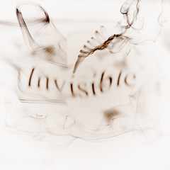 Invisible_Max
