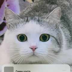 Sergio_Ill