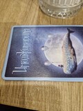 Георгий21