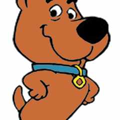 Scrapy