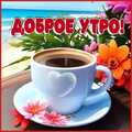 TiraN