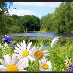 Альбина_Харитонова