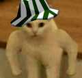 Cup_Igor
