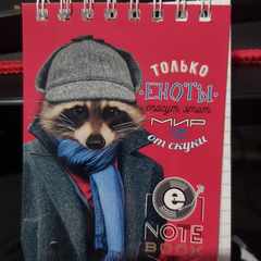 Денис_Конаныхин