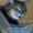 Socrat_Method