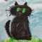 user_photo