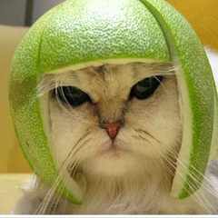 михаил_казарин