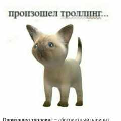 Кирилл_Кириллов7pC