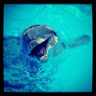 Mylivmi_Life