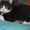 Catkuzia