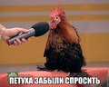 doublewkek831