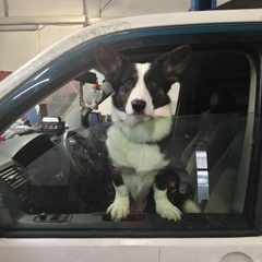 Максим_Зацепин