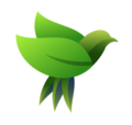 Corvo