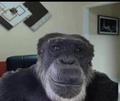 John__Doe--1