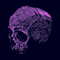 user_photo