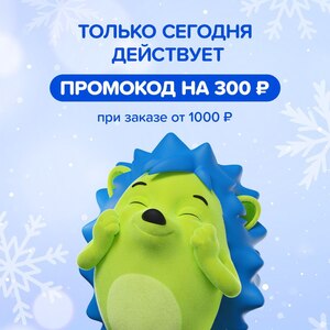 Скидка 300₽ при заказе самовывозом или с доставкой от 1000₽