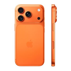 Activity Image